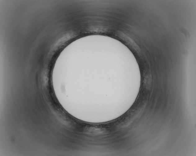 X0000113890635200910221418