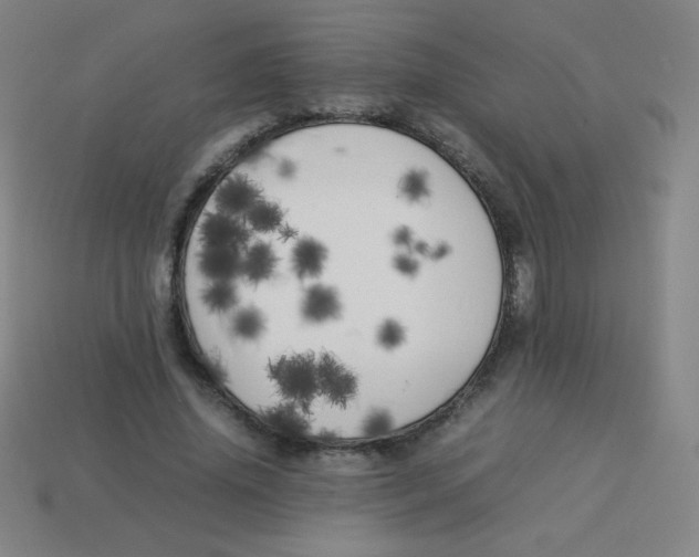 X0000113890636200910221418