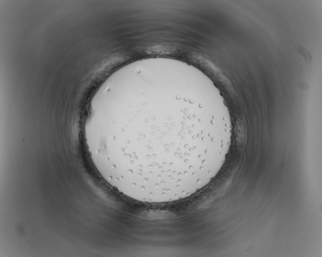 X0000113890637200910221418