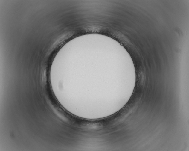 X0000113890638200910221418