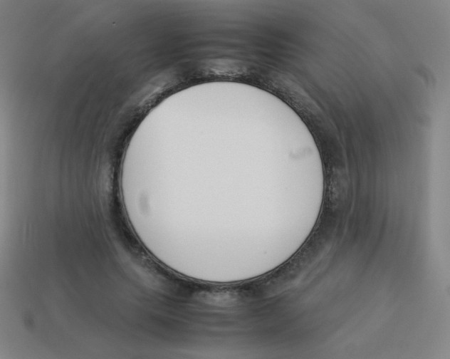 X0000113890639200910221418