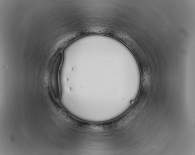 X0000113890640200910221418