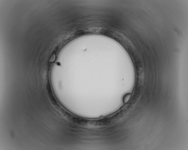 X0000113890641200910221418