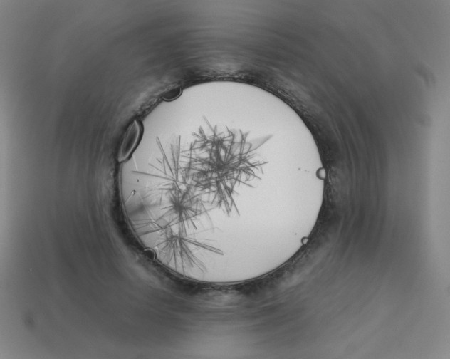 X0000113890642200910221418