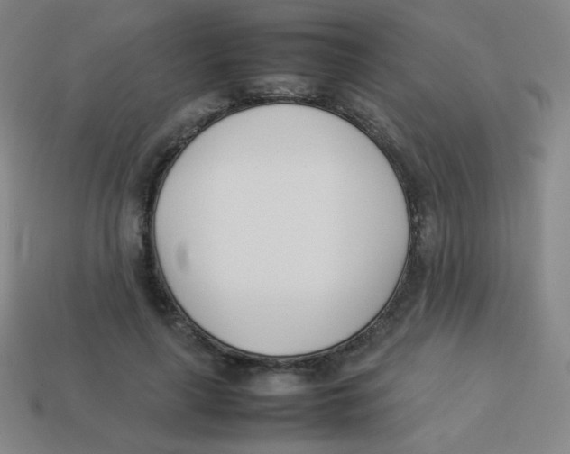 X0000113890643200910221418