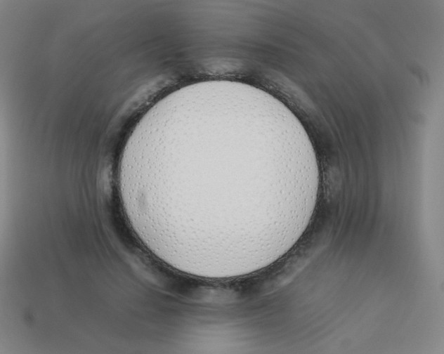 X0000113890644200910221418