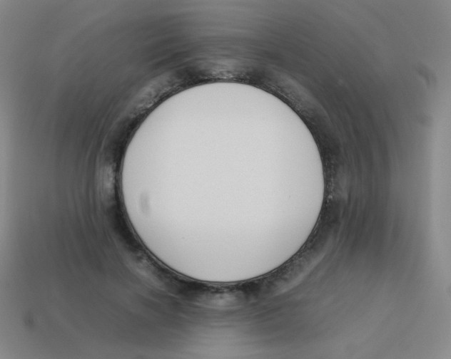 X0000113890646200910221418