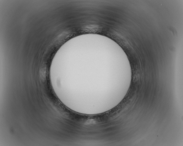 X0000113890647200910221418