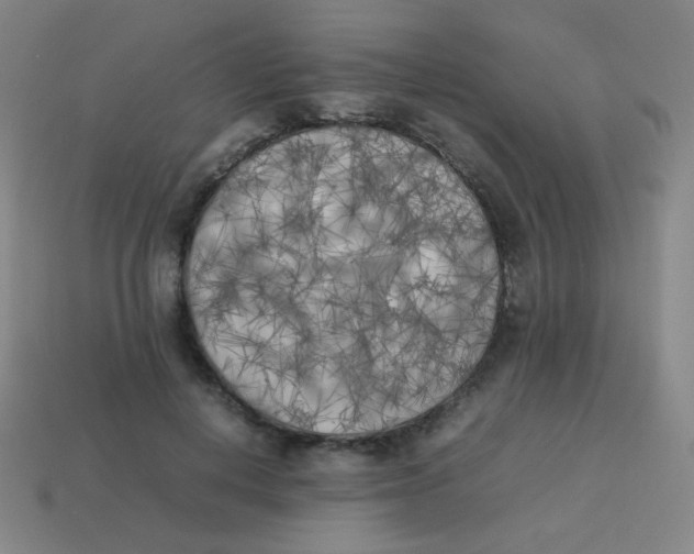 X0000113890648200910221418