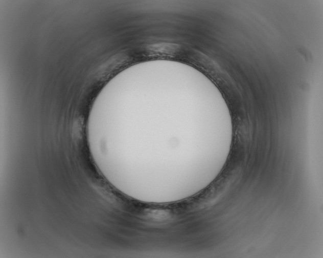 X0000113890649200910221418