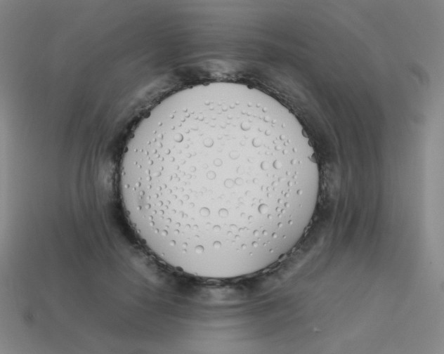 X0000113890650200910221418