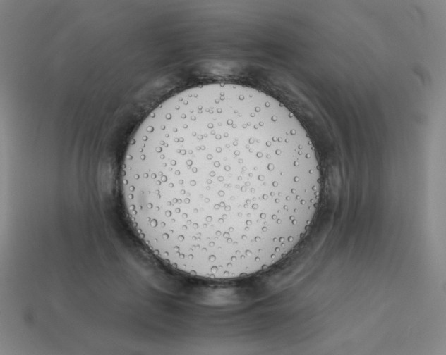 X0000113890651200910221418