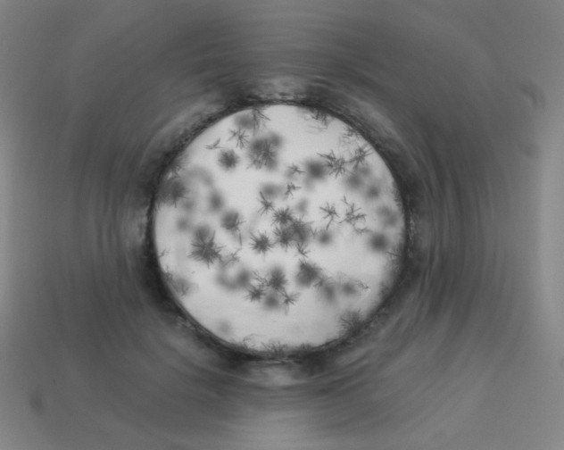 X0000113890652200910221418