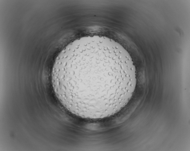 X0000113890653200910221418