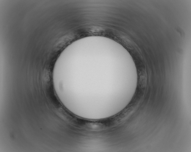 X0000113890654200910221418