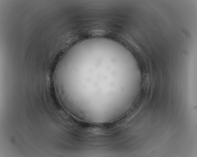 X0000113890655200910221418