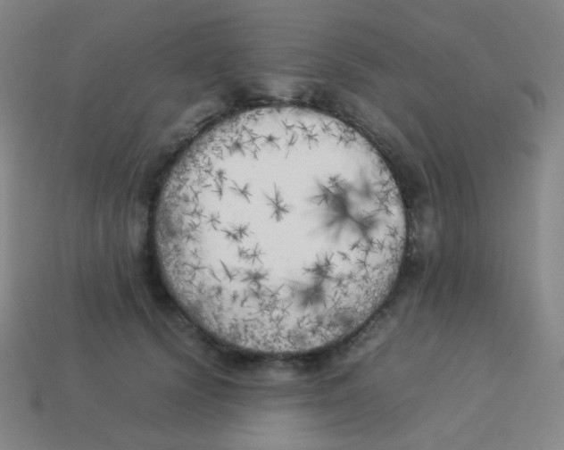 X0000113890656200910221418