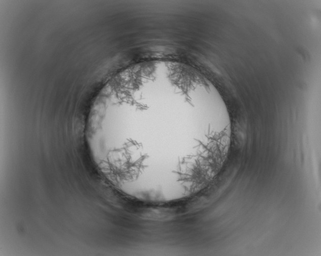 X0000113890657200910221418