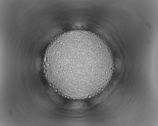 X0000113890659200910221418