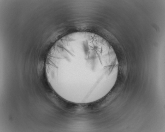 X0000113890660200910221418