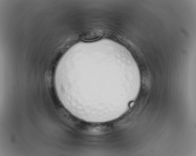 X0000113890661200910221418