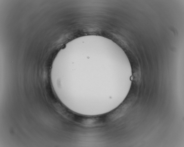 X0000113890662200910221418