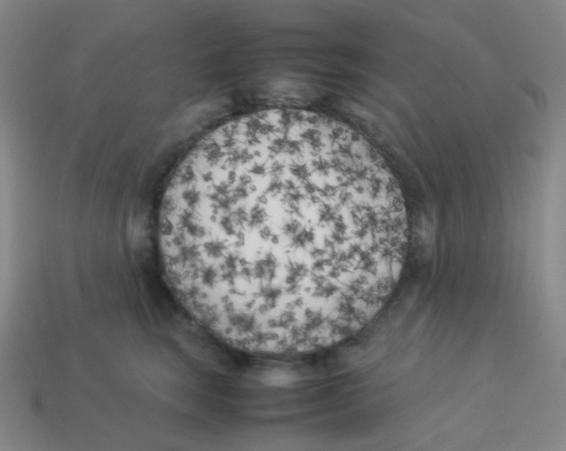 X0000113890663200910221418