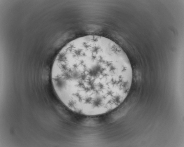 X0000113890664200910221418