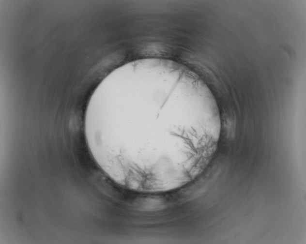 X0000113890665200910221418