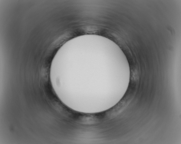 X0000113890666200910221418