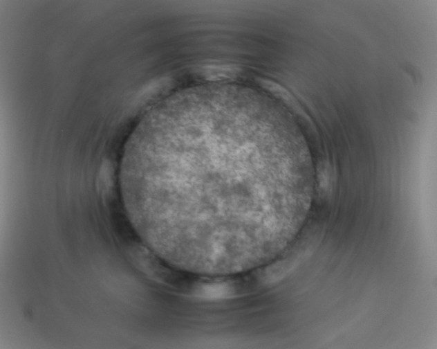 X0000113890667200910221418