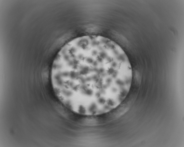 X0000113890668200910221418