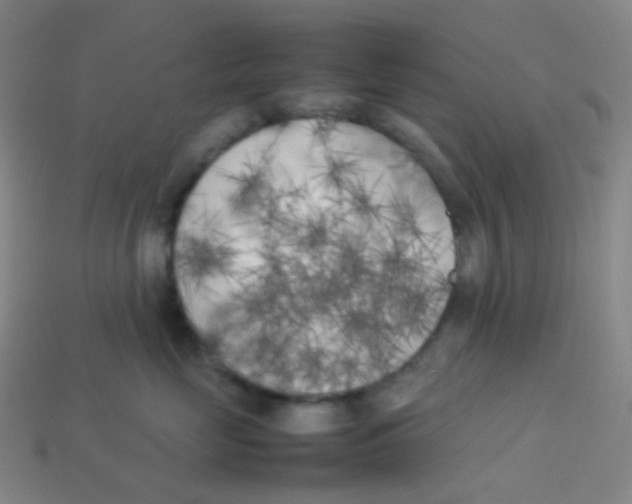 X0000113890669200910221418