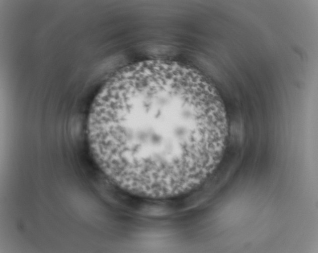 X0000113890671200910221418