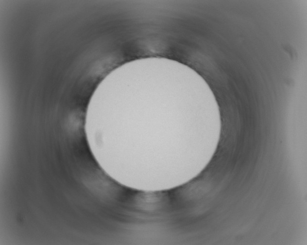 X0000113890672200910221418