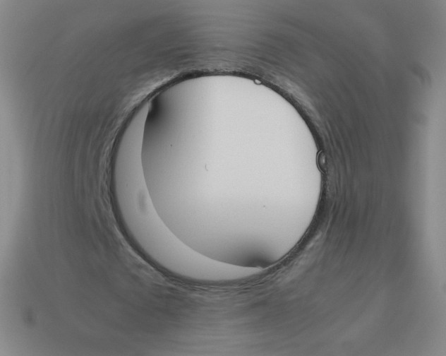 X0000113890673200910221417