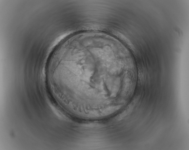 X0000113890674200910221417