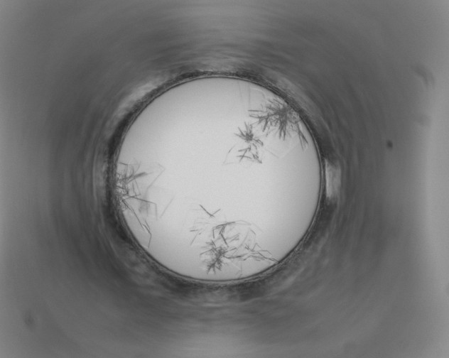 X0000113890675200910221417