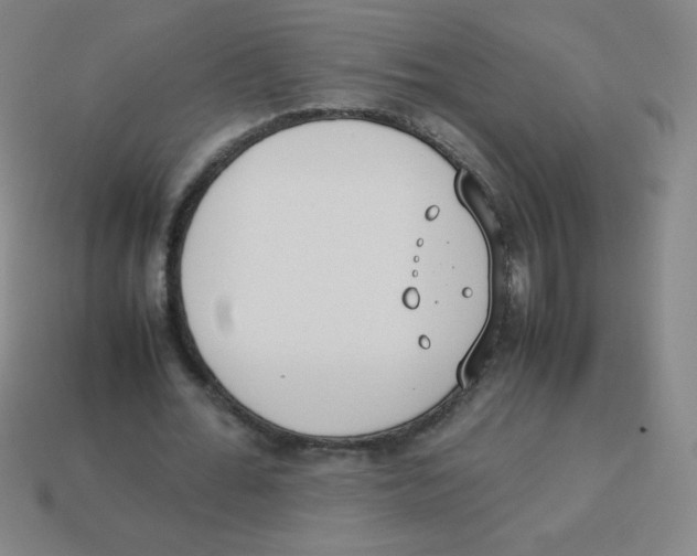 X0000113890676200910221417