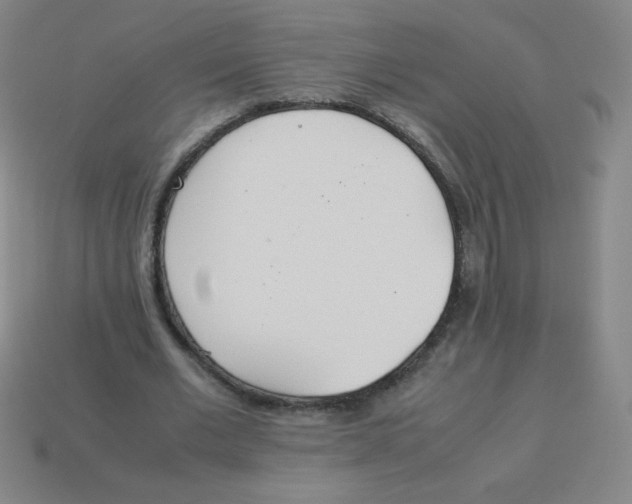X0000113890677200910221417
