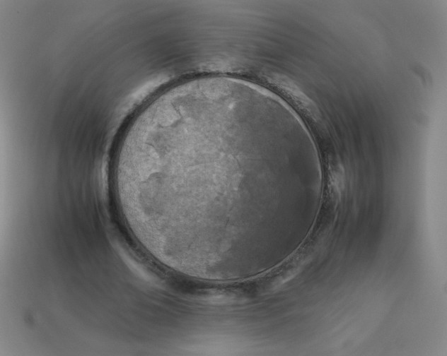 X0000113890678200910221417