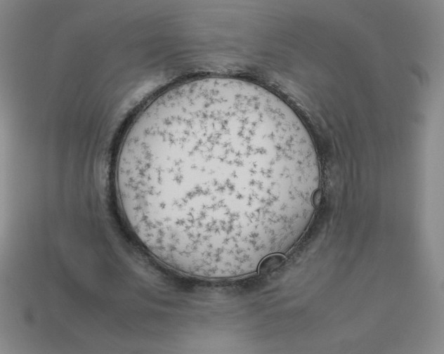 X0000113890679200910221417