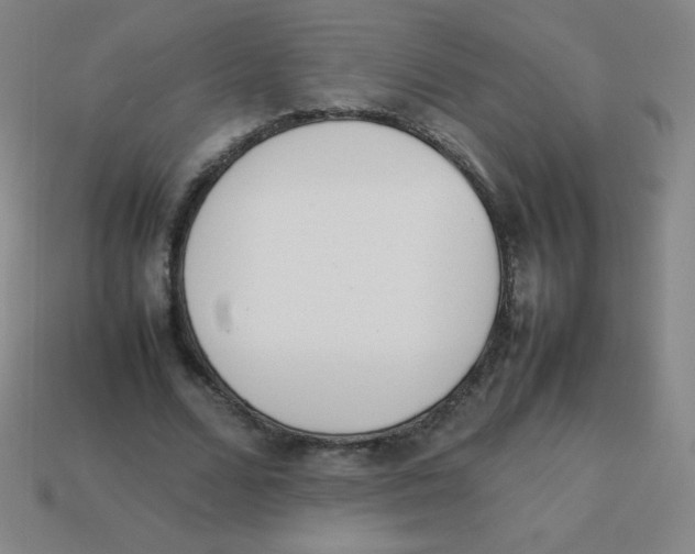 X0000113890680200910221417