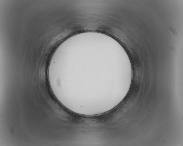 X0000113890681200910221417