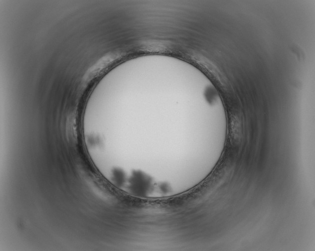 X0000113890682200910221417