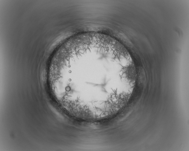 X0000113890683200910221417