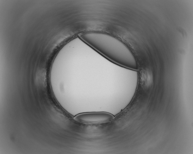 X0000113890684200910221417