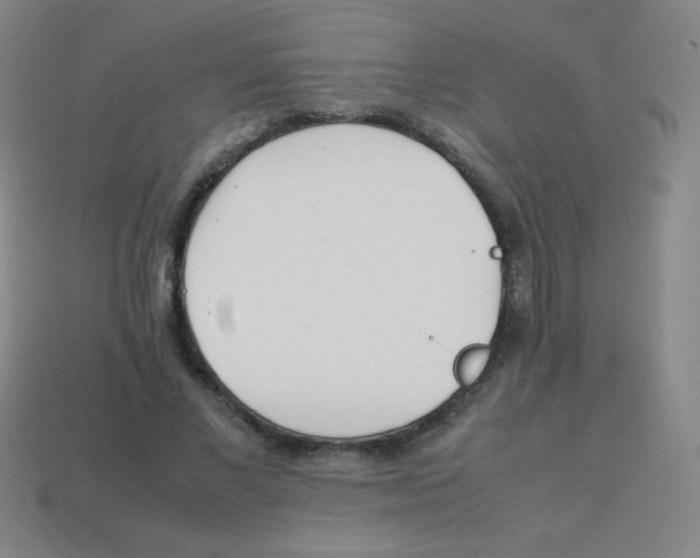 X0000113890685200910221417