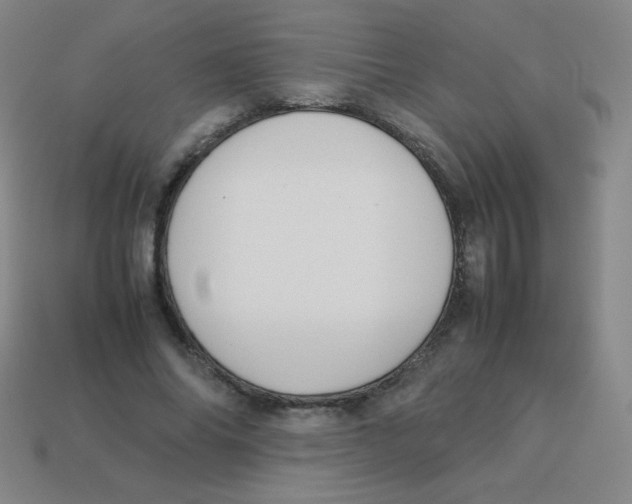 X0000113890686200910221417