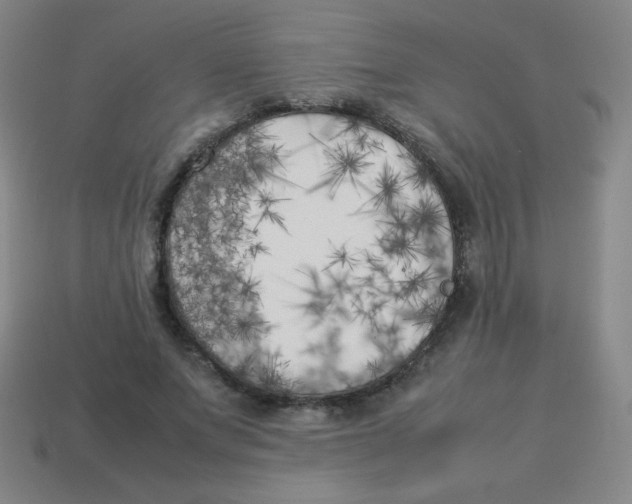 X0000113890687200910221417